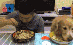 如果你家也有只吃貨狗狗，這點(diǎn)一定要注意！